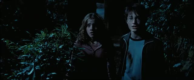 and the prisoner of azkaban daniel radcliffe emma watson harry potter hermione gif