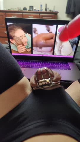 bbc ballbusting chastity dildo humiliation sissy gif