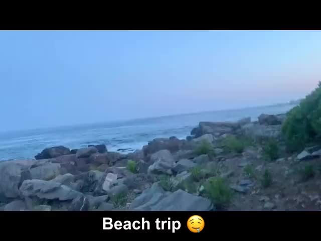 Beach Sex Thick gif