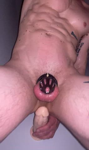 chastity cuckold sissy gif