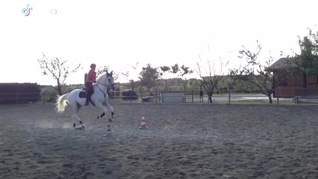 Sei tu il mio sorriso migliore? #italy #horse #jump #epicfail #girlpower #insieme