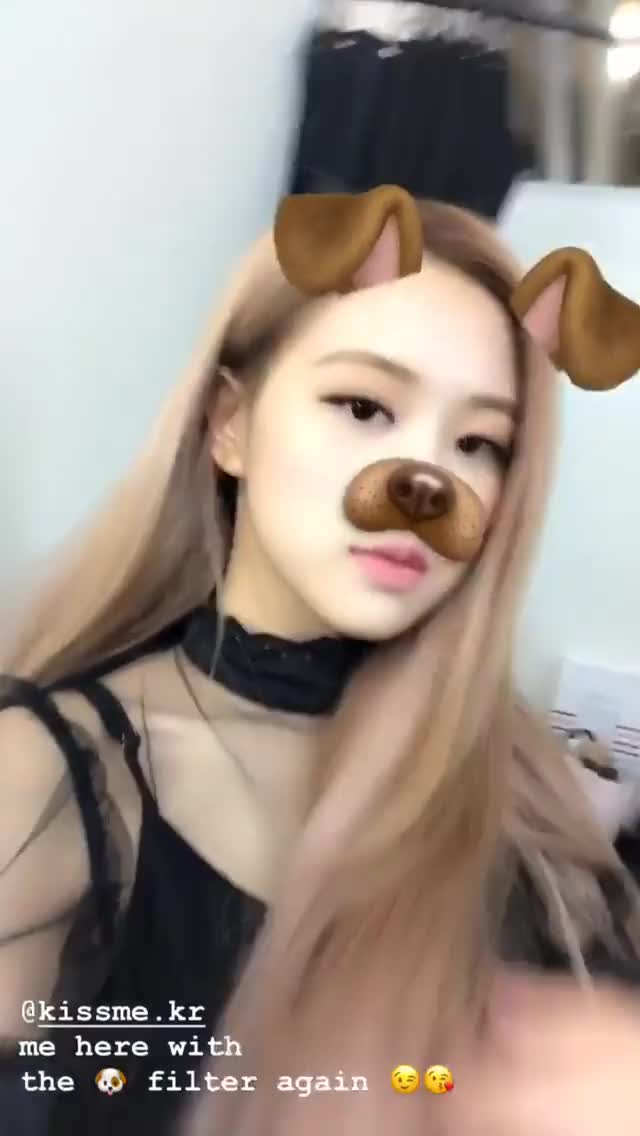 Rosie Puppy