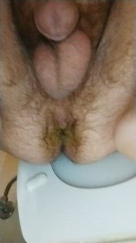 asshole bathroom toilet gif