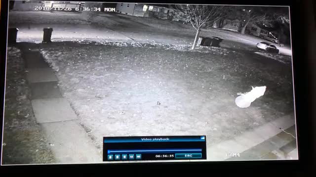Woman Steals Inflatable Snowman From Yard.