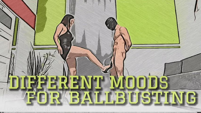 bdsm ballbusting cbt femdom fetish master/slave gif