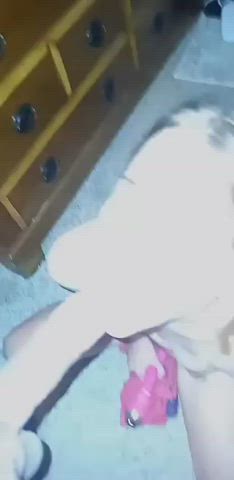 Amateur Blowjob White Girl gif