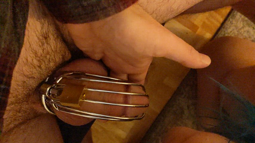 Chastity Couple Oral Tongue Fetish gif