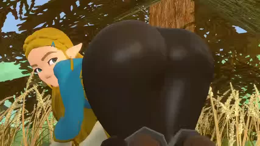 animation booty elf fantasy princess zelda shaking gif