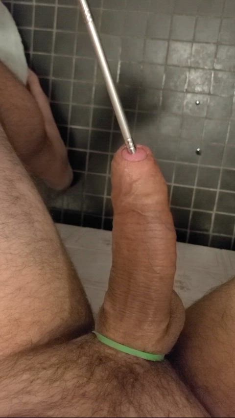 cock male masturbation masturbating object insertion penis solo sounding gif