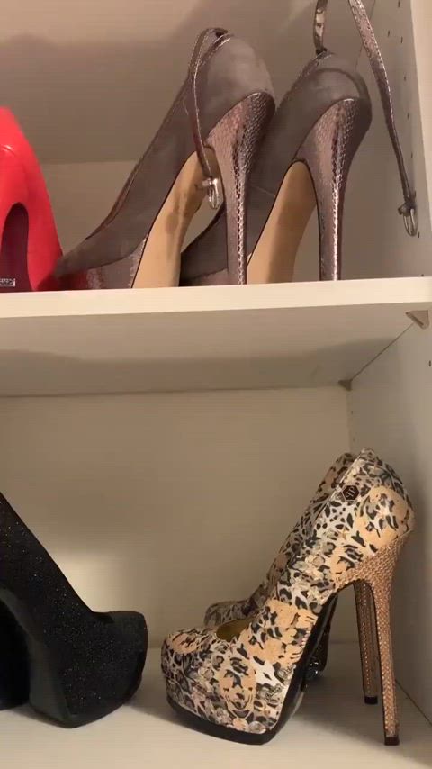 high heels shoe shoes gif