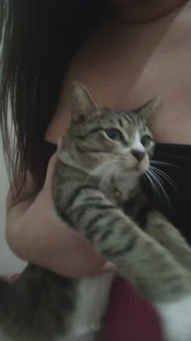 boy pussy pussy pussykat gif