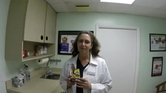 Basic ear cleaning Veterinary Naples FL (239) 353-5060