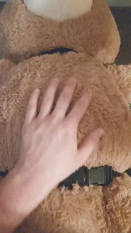 bear sex toy gif