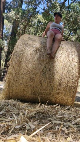 Flashing at the ranch