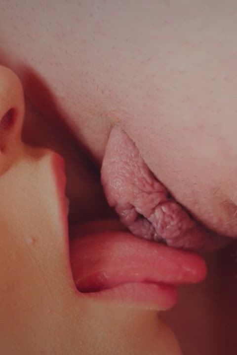 alissa foxy close up labia lesbian pussy pussy licking pussy lips gif