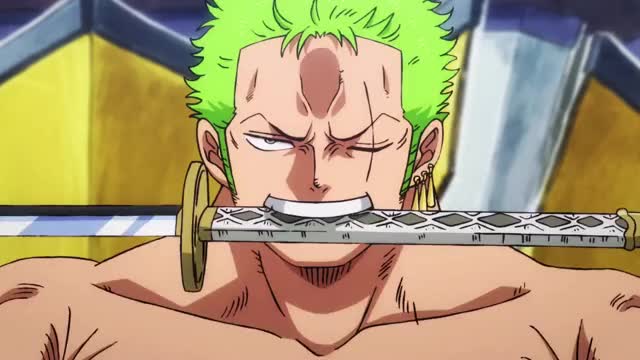 One Piece Roronoa Zoro