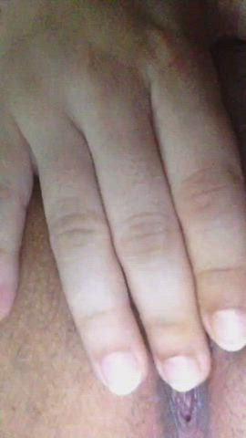 masturbating pussy solo gif