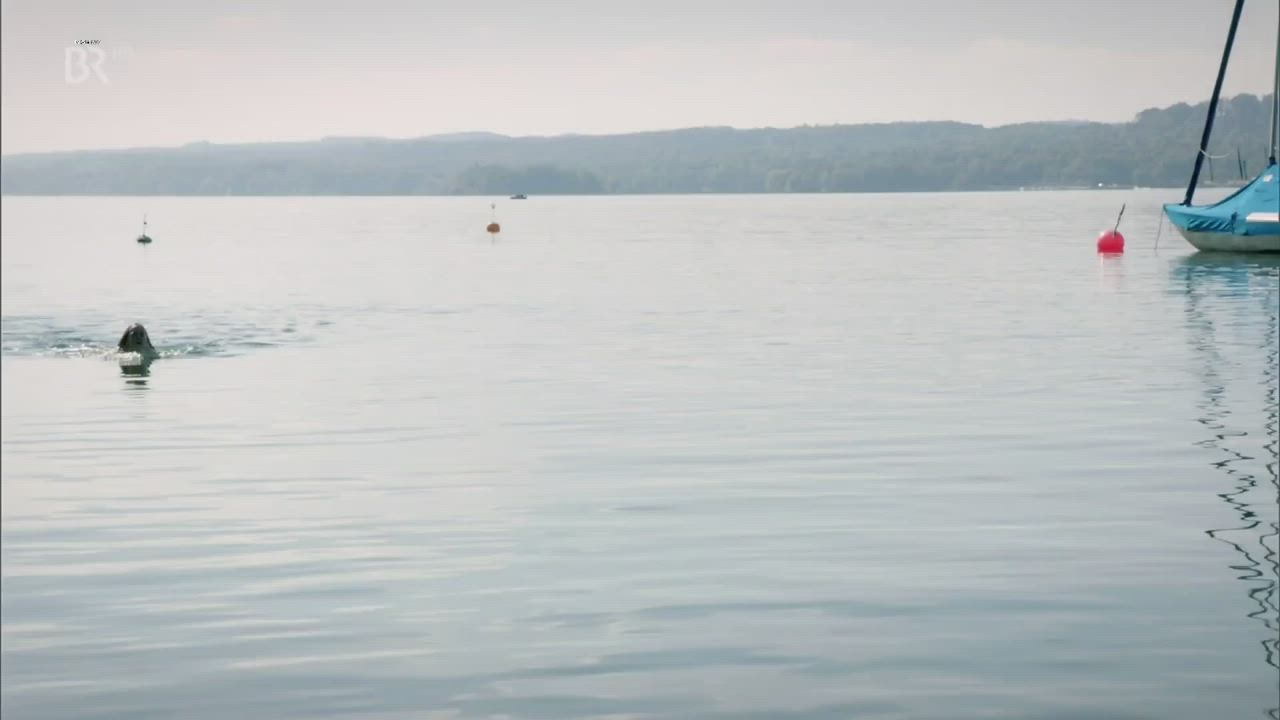 Annina Hellenthal - Die reichen Leichen. Ein Starnbergkrimi (DE2014)