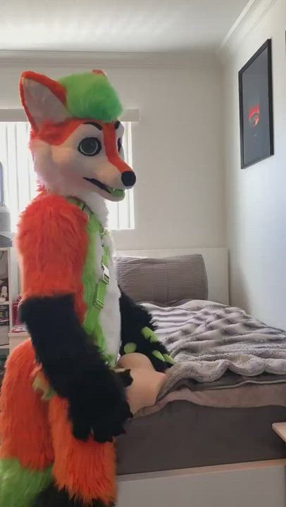 Fox tries to control a toy