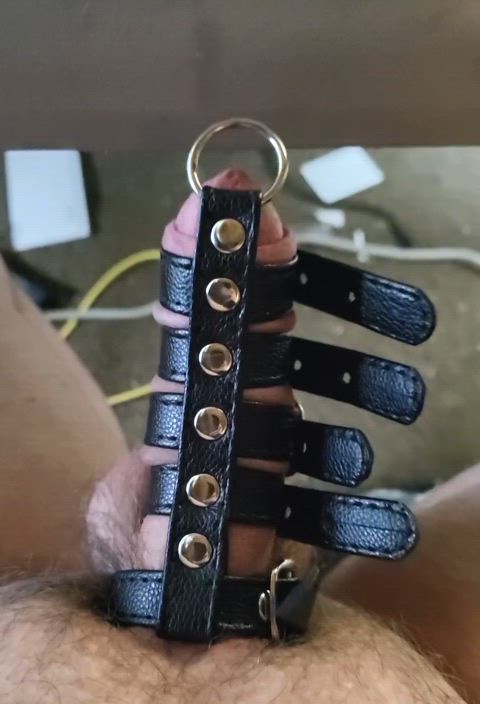 bdsm bondage cock cum onlyfans thick cock throbbing uncircumcised dildos femboys