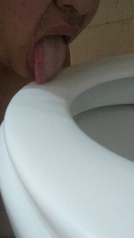 bbw licking public toilet gif