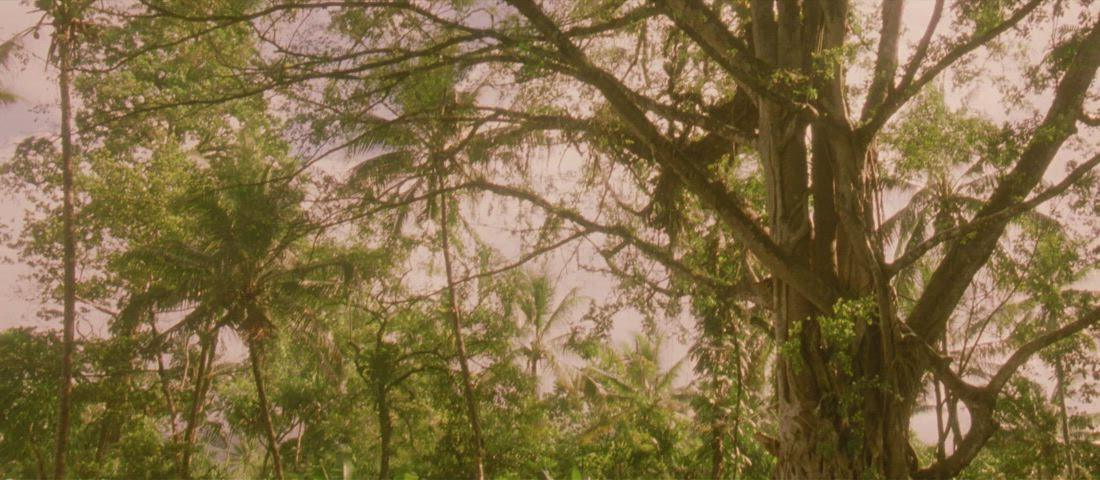 Papua anthropologist (Maya Stange) doing native widow rites (In a Savage Land (1999))