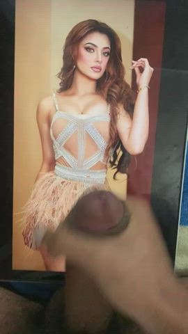 Urvashi rautela cum tribute