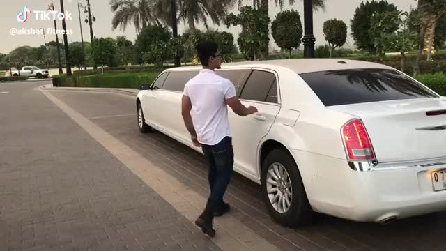 Limo ? #dubai #travel #richlife #luxury #tiktok #tiktokindia #feature