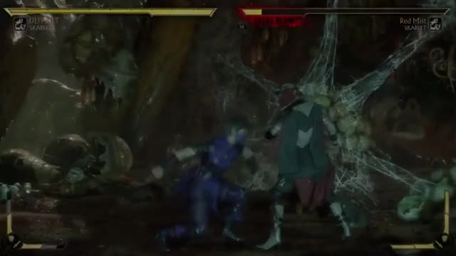 MK11 - Brutality Victory