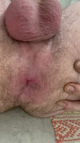 bisexual gay hairy ass gif
