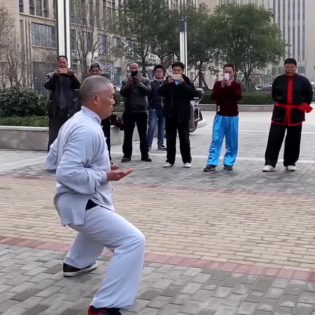 The Iron Crotch Kung Fu