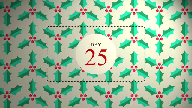 Day 25 - Merry Christmas you filthy animals
