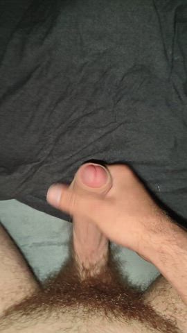 amateur big dick cock cumshot solo gif