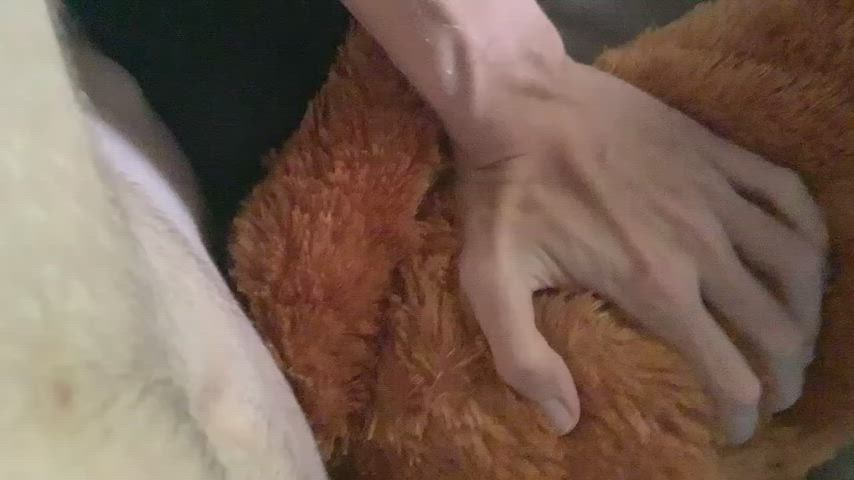 anal pov rough gif