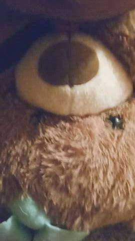bear sex toy gif