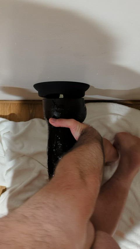 anal bear huge dildo stretching gif