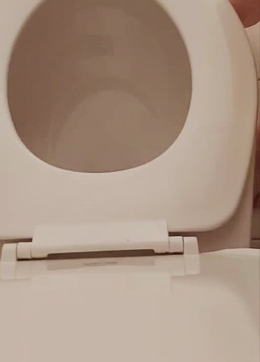 Anal Ass BBW Messy Toilet gif