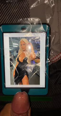 Maryse WWE Tribute