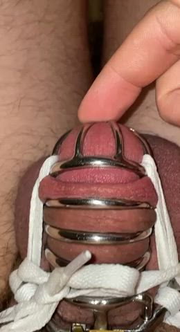 Chastity Dripping Tease gif