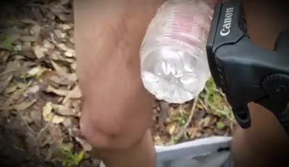 fleshlight in the woods