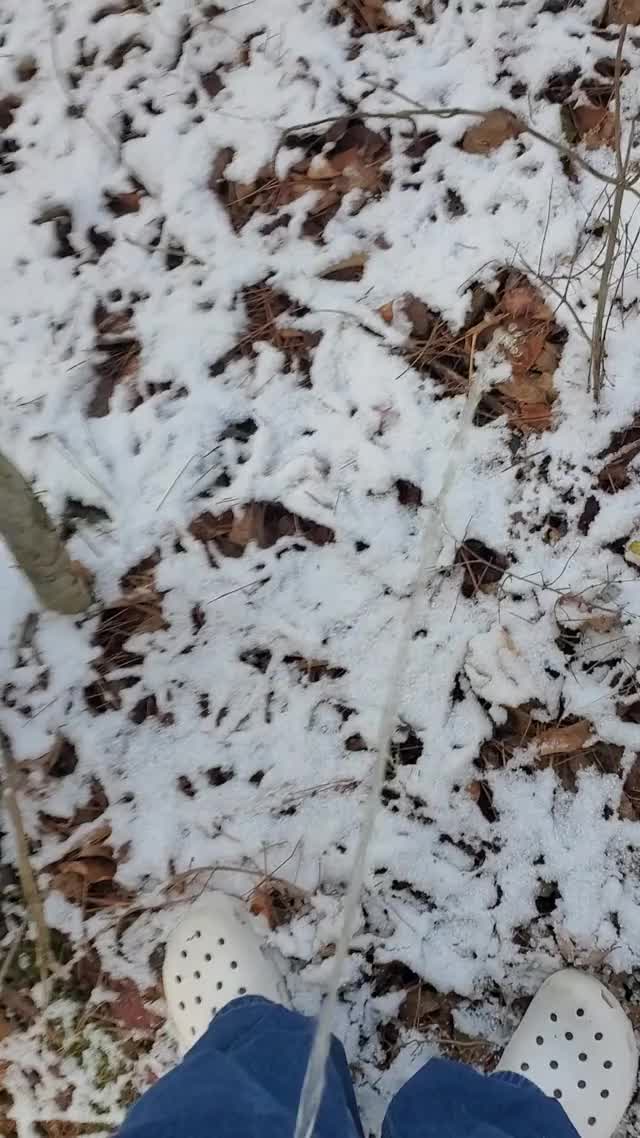 Peeing in the snow