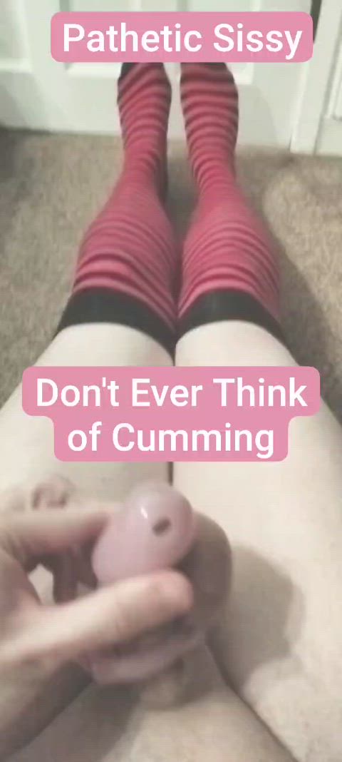 betaslave caged caption chastity femboy knee high socks sissy sissy slut slave sissycaption