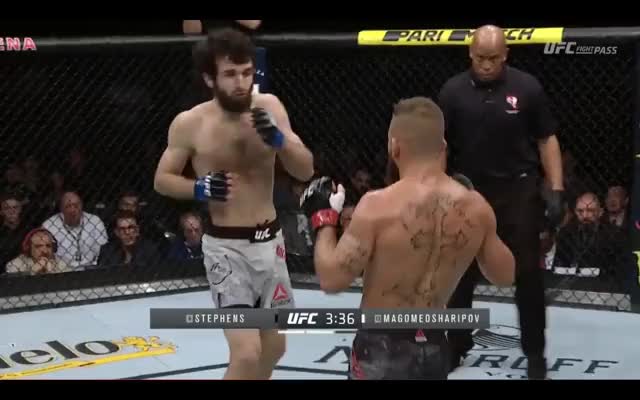 Stephens |Zabit| Flurry in range -> 4