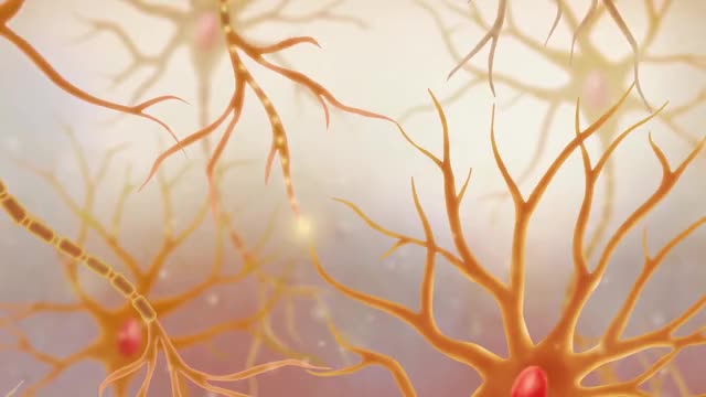 How Neurons Communicate