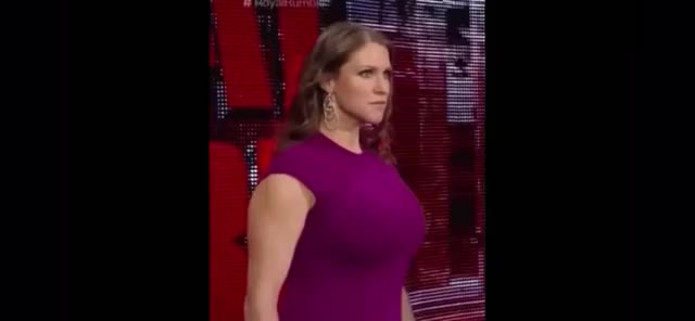 Stephanie Mcmahon this bitch has giant tits