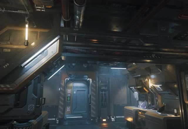 Star Citizen detail