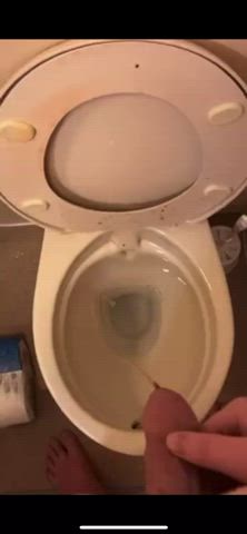 little dick piss pissing toilet gif