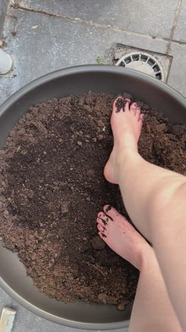 Domination Feet Feet Fetish Femdom Foot Foot Fetish Foot Worship gif