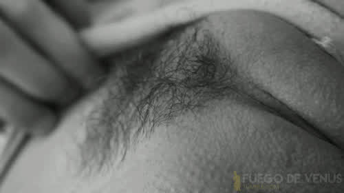 Pussy Pussy Lips Rubbing gif