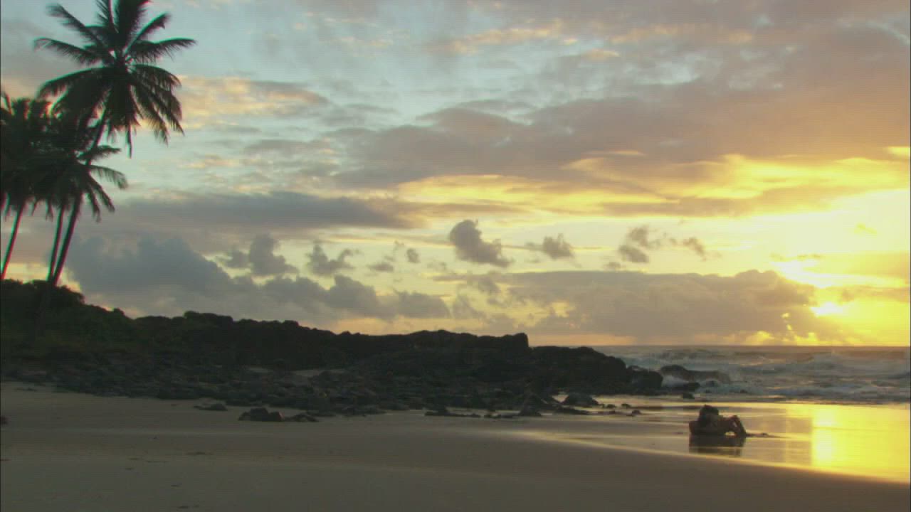 Beach Portuguese Sensual gif